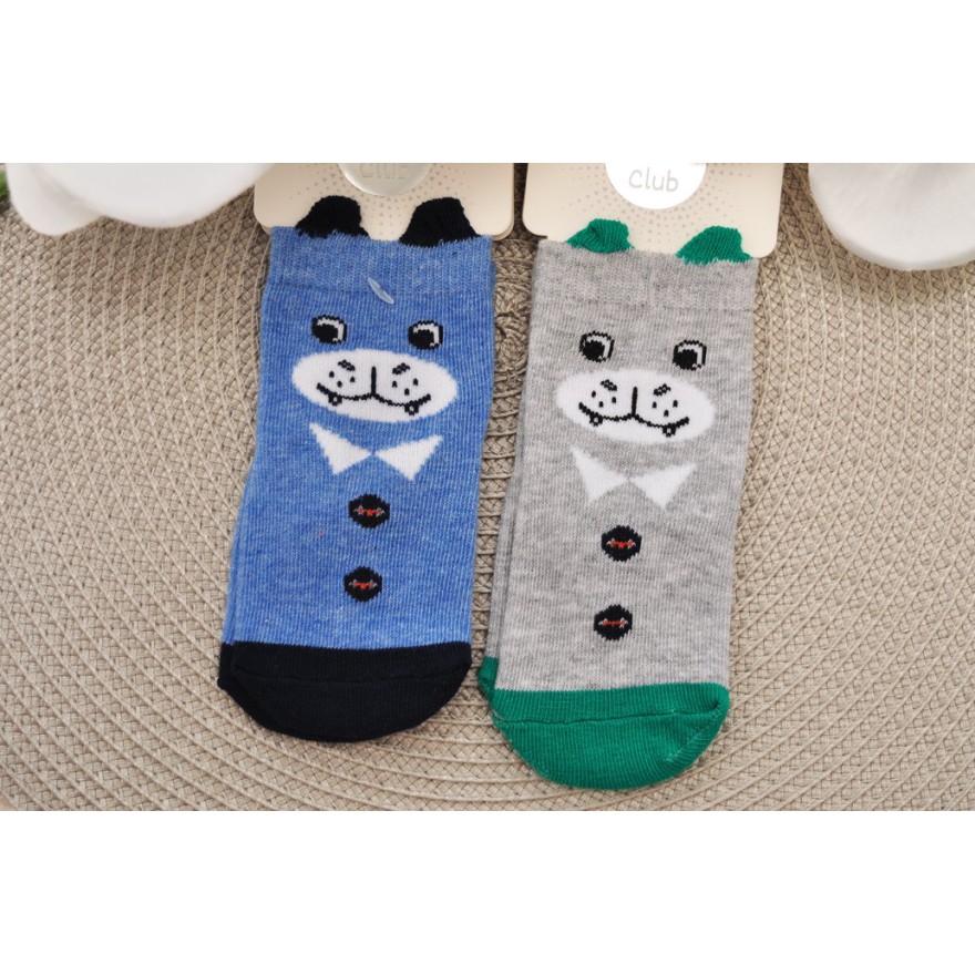 2 pary SKARPETKI bawełniane ZWIERZAKI skarpety uszy 3D dla chłopca wzór 1CH
