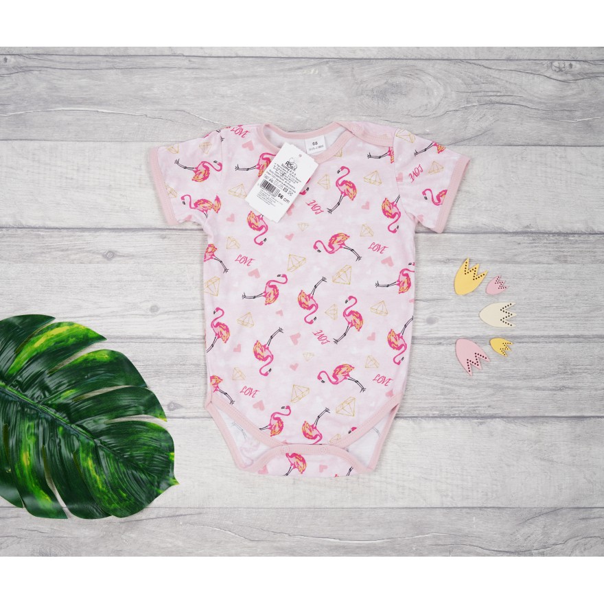 BODY różowe we flamingi LOVE krótki rękaw