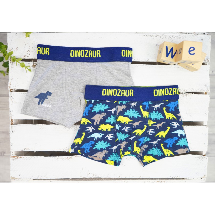 2pak BOKSERKI chłopięce bawełniane DINOZAUR