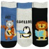3pak SKARPETKI bawełniane PINGWIN LEW MIŚ skarpety chłopięce C-51