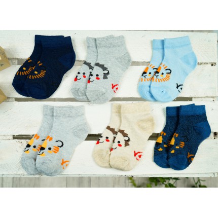 6pak skarpetki stopki chłopięce letnie ZWIERZAKI skarpety ażurowe C-54